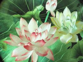 Suzhou Embroidery Lotus
